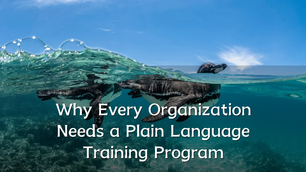Why Every Organization Needs a Plain Language Training Program