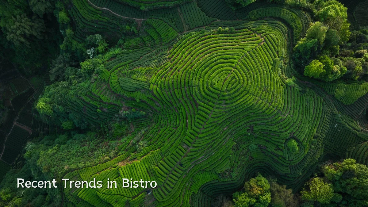 Recent Trends in Bistro