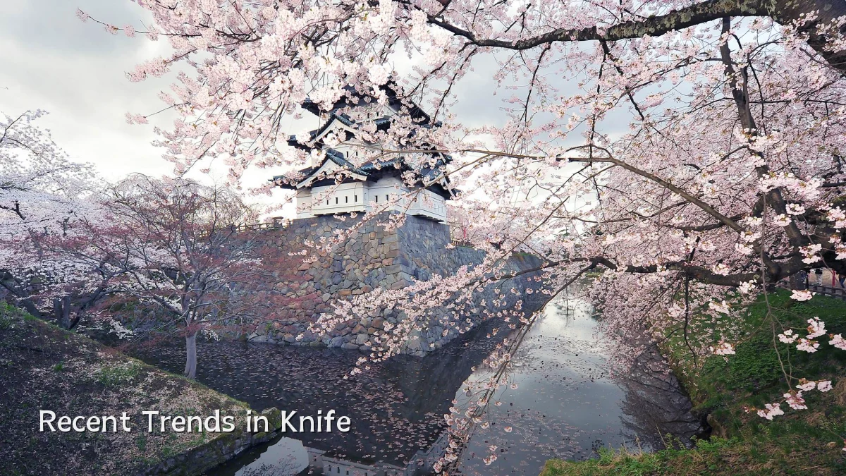 Recent Trends in Knife