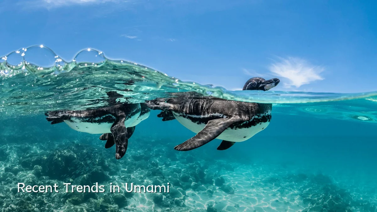 Recent Trends in Umami