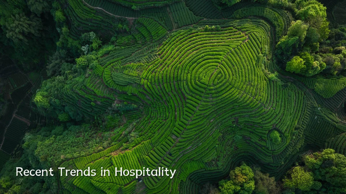 Recent Trends in Hospitality