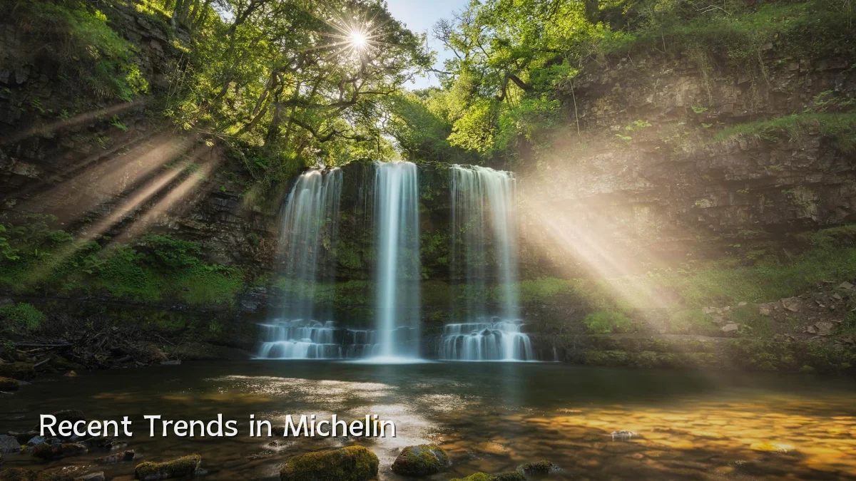 Recent Trends in Michelin