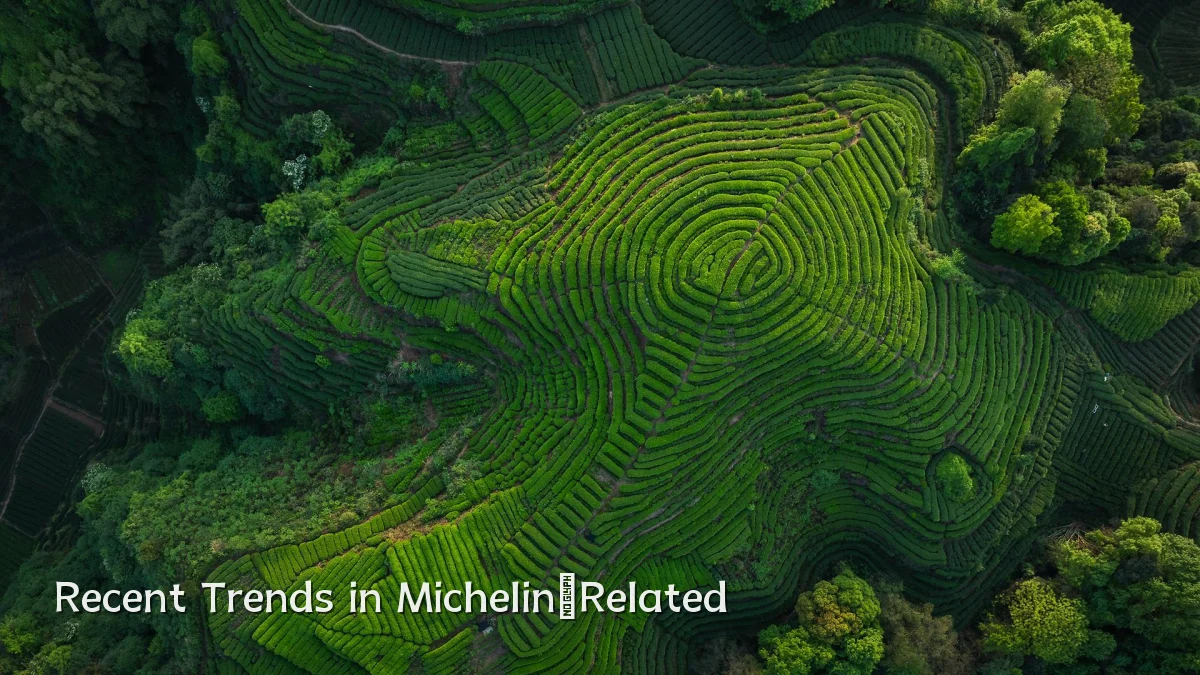 Recent Trends in Michelin‑Related