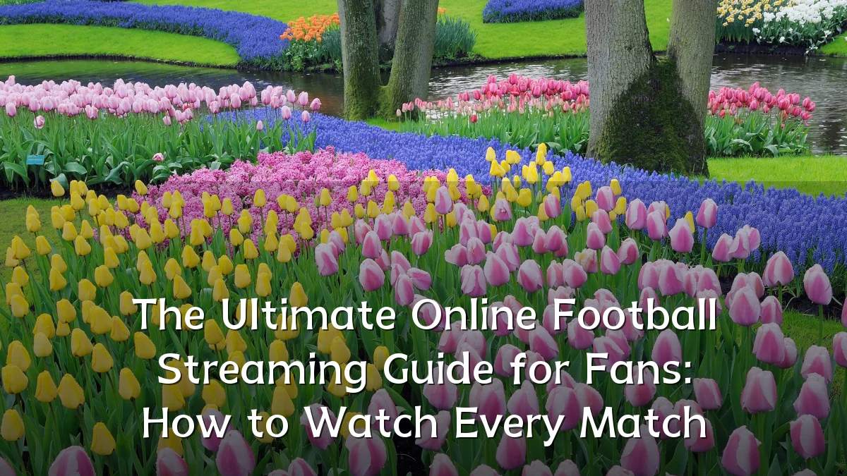 The Ultimate Online Football Streaming Guide for Fans: How to Watch Every Match